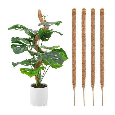 usines de Moss Totem Pole Kit For de fibre de coco de 44cm montant et soutenant la noix de coco Polonais d'usines