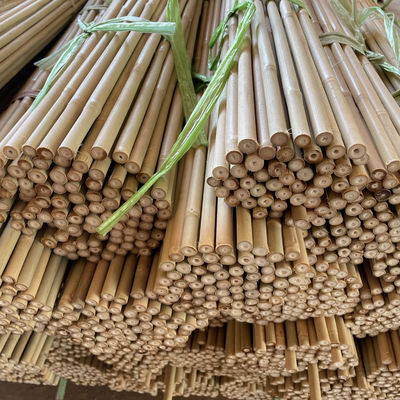 Enjeux en bambou naturels de soutien d'usine pour les usines d'intérieur, enjeu en bambou 40cm de bâtons de jardin en bambou de Polonais 595cm