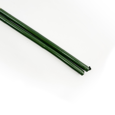 20cm ont peint la décoration verte de Rods d'enjeux en bambou crus de Polonais