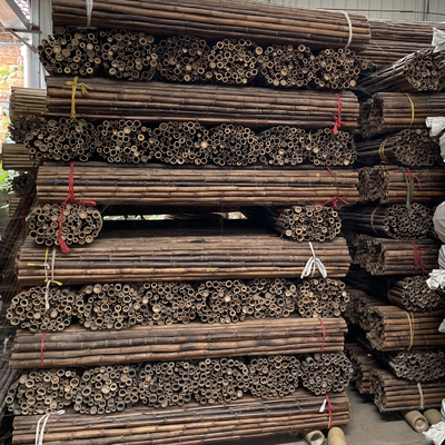 L'anti moule a peint les enjeux en bambou l'usine que colorée Tonkin a carbonisé 250cm