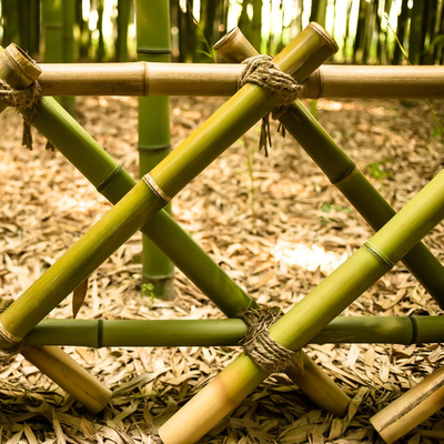 100% Polonais 240cm en bambou cru naturel construisant Deoration 60cm 595cm
