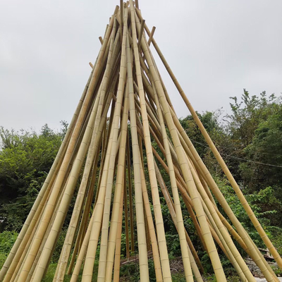 Polonais en bambou cru 100% naturel pour les cannes de jardinage de construction et de décoration/enjeux en bambou de bonne qualité