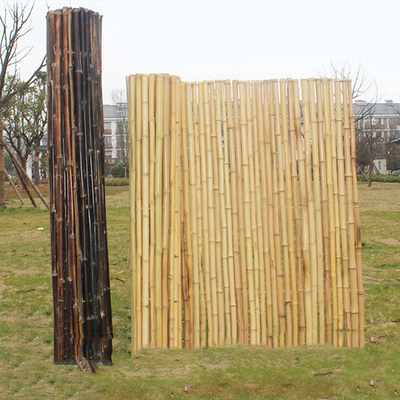Chambre verte de barrière de Screen Fencing For de jardin en bambou décoratif fumé de pépinière