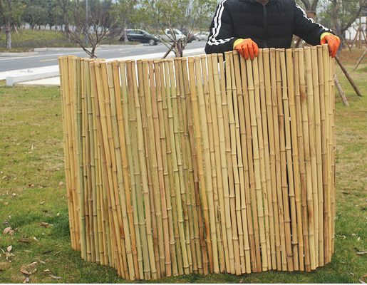 La frontière écologique de jardin clôturent la barrière 240cm en bambou Panels Garden Border de 180cm