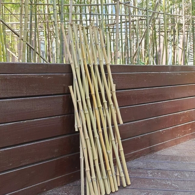 Jardin flexible en bambou expansible de treillis de Polonais clôturant pour la décoration 120*180cm de balcon