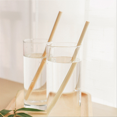 Pailles à boire en bambou 20x0.8cm réutilisables écologiques réutilisables avec la brosse