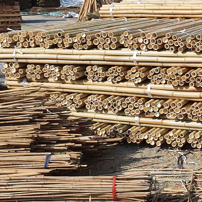 Matière première en bambou de construction