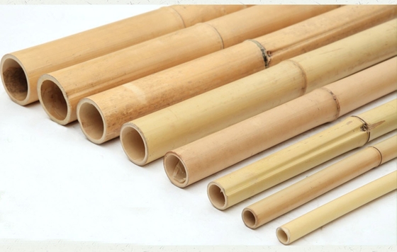 Poteaux en bambou 100% naturel personnaliser la longueur support végétal écologique piquets de jardin
