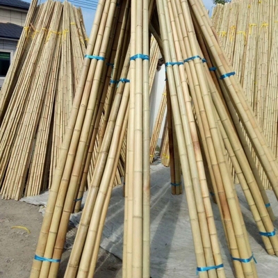 En gros Nature Brut Tonkin Jaune Bamboo Polar Cane Matériau Pour Décoratif Et Les Plantes Poussent le Soutien