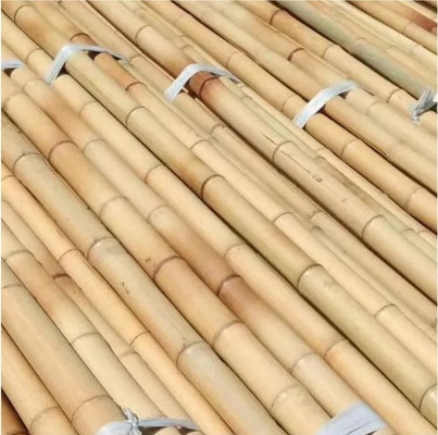 Poteaux de bambou Moso naturel robuste et écologique pour le jardin