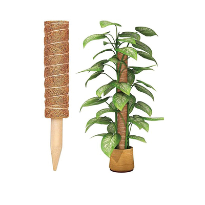 Coco Palm Coir Moose Stick Totem Pole Coco Coir Totem Pole Support de la plante Extension d'escalade Plantes d'intérieur Les rampants