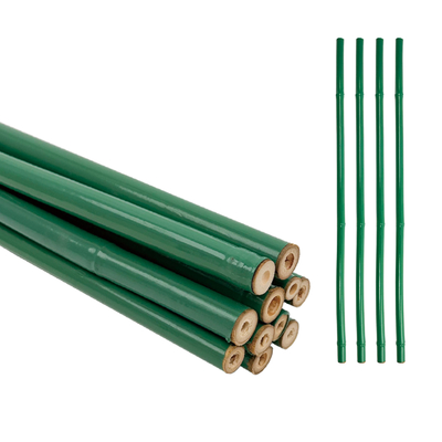 Support de fleurs traitées en bambou en PVC vert sur mesure