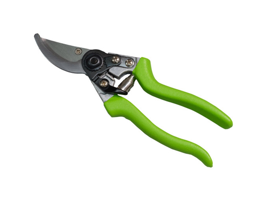 Ciseaux de taille de haute qualité Ciseaux de taille de jardin professionnels pour la taille précise des branches