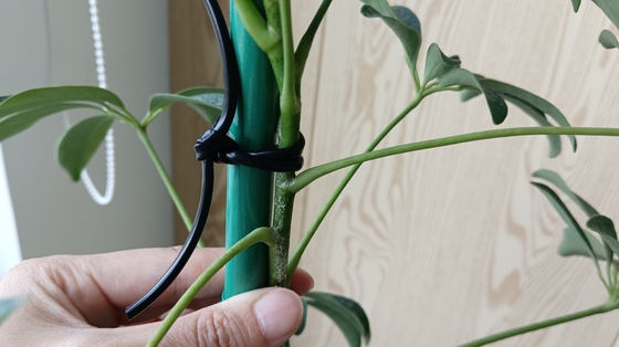 Ligne creuse verte flexible pour soutenir l'usine Lier des sacs pour le bureau à domicile