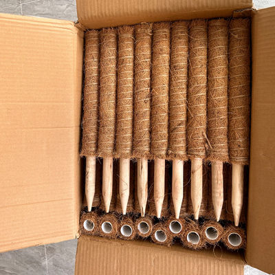 Tuteur pour plantes en fibre de coco, bâton robuste pour plantes grimpantes