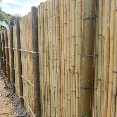 Rouleau de clôture en bambou naturel, imperméable et durable, pour jardin et aménagement paysager