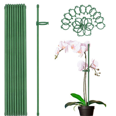 Tuteurs métalliques enduits de plastique, piquets de jardin verts pour le soutien des plantes, l'escalade des plantes, l'aménagement paysager et la clôture