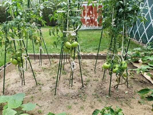 Tuteurs métalliques enduits de plastique, piquets de jardin verts pour le soutien des plantes, l'escalade des plantes, l'aménagement paysager et la clôture