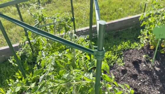 Tuteurs métalliques enduits de plastique, piquets de jardin verts pour le soutien des plantes, l'escalade des plantes, l'aménagement paysager et la clôture