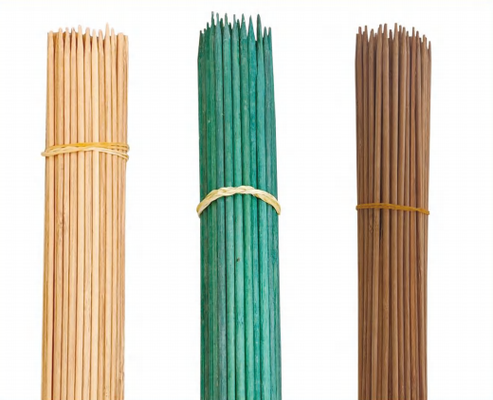 Bandeau de bambou pour les plantes à fleurs