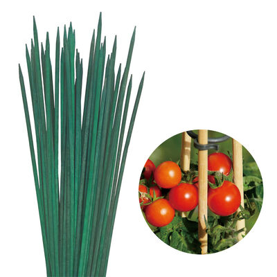 Bandeau de bambou pour les plantes à fleurs