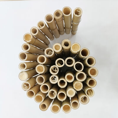 Clôture courte en bambou flexible naturel, bordure décorative de paysage de jardin extérieur