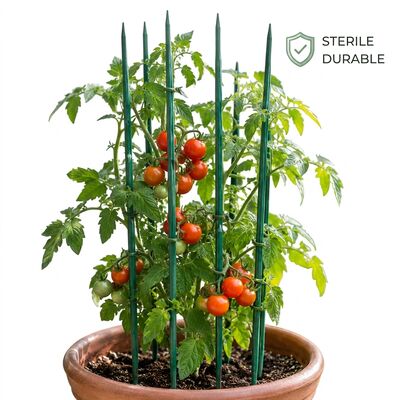 Piquets de fleurs en bambou naturel, Support biodégradable pour plantes de jardin, tailles personnalisées, couleurs pour pépinières