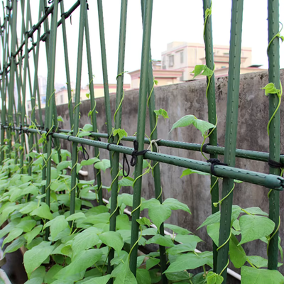 Tuteurs métalliques enduits de plastique, piquets de jardin verts pour le soutien des plantes, l'escalade des plantes, l'aménagement paysager et la clôture